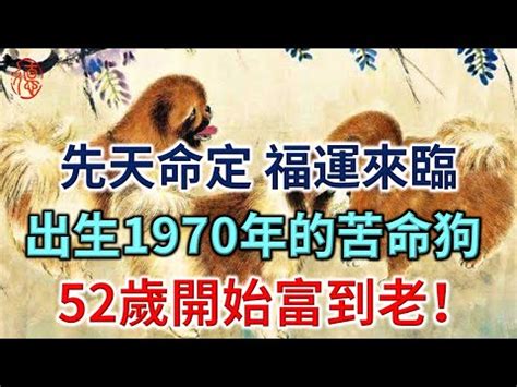 1970屬|生肖狗：1970年是什麼命？